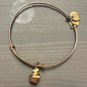 Disney Alex & Ani